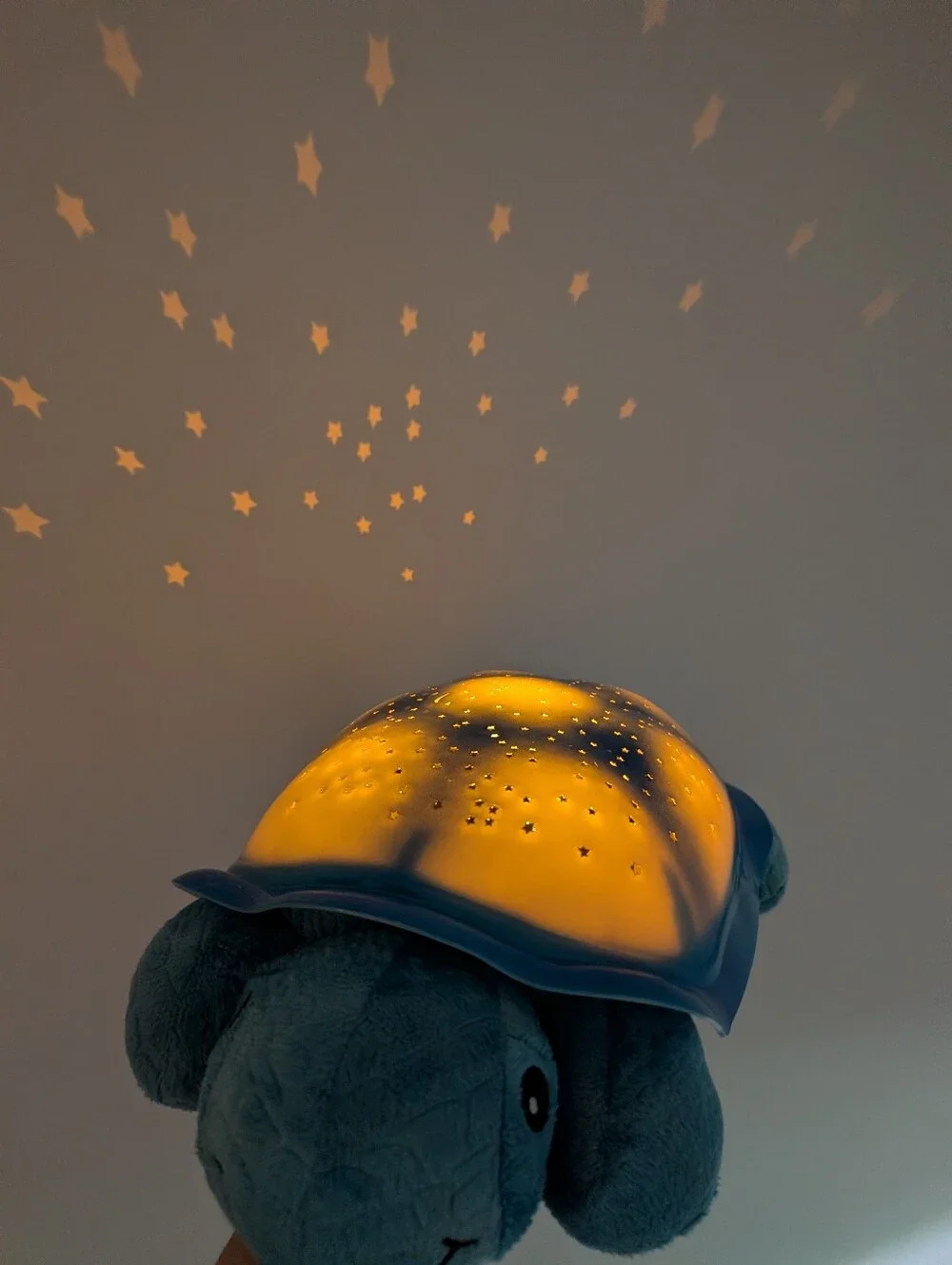 Cloud B Blue Twilight Turtle With Light Up Star Constellation